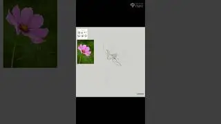Drawing a flower #speedart #speeddrawing #speedpainting #drawingaflower #flower #timelapseart