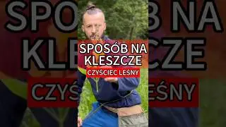 Szybki spos&oacute;b na kleszcza #natura #zdrowie #zioła #las #naturalnasiła #naturopata #krzysztofsorodnik