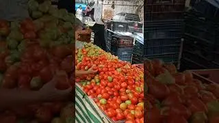 pessoal olha s&oacute; o pre&ccedil;o do tomate 🍅