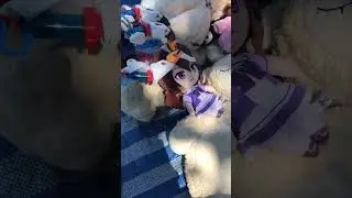 James Rodney Smith 3.5 Discovered Chibi Horse Girl Plushes Into Local Store