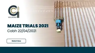 Goldcrop Maize Trials 2021