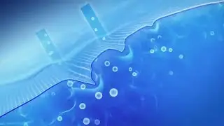 Energetic Skin Renewal | Restoring Balance with Frequencies & Sound