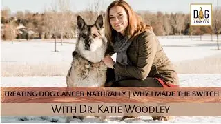 Treating Dog Cancer Naturally &ndash; Why I Made the Switch to Holistic | Dr. Katie Woodley Deep Dive
