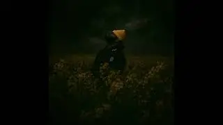 SPAARK - 10/10 ( AUDIO )