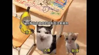 穿书成会惨死的千金大小姐！但事已至此先吃饭吧 #猫meme日常 #猫meme #猫meme故事 #猫meme小剧场