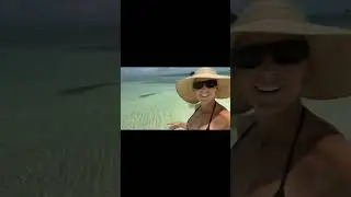 The Undertaker saved his wife from a shark, standing guard until the shark left.Via mimicalacool Ig