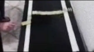 domino na esteira