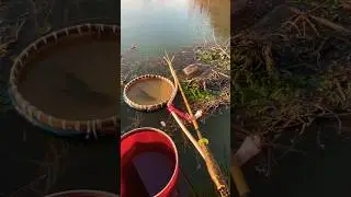 Amazing hook fishing and bird#shorts @AdiFishman