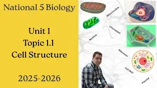 National 5 Biology: 1.1 Cell Structure - Full Lesson