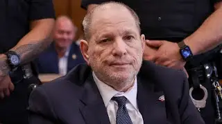 Harvey Weinstein Trial: Miriam Haley's Shocking Words on Stand Against Him