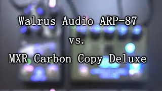 Walrus Audio ARP-87 vs. MXR Carbon Copy Deluxe - Delay Comparison