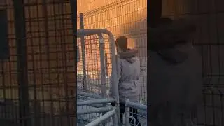 İstanbul Barosu davasında karar g&uuml;n&uuml;: Avukatlar duruşma salonuna geldi #shorts
