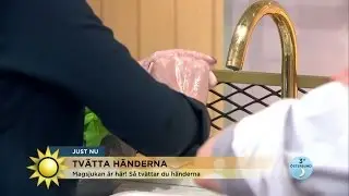 S&aring; tv&auml;ttar du h&auml;nderna r&auml;tt! - Nyhetsmorgon (TV4)