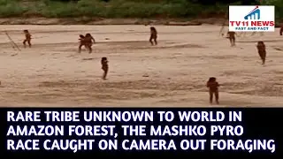 RARE TRIBE UNKNOWN TO WORLD IN AMAZON FOREST, THE MASHKO PYRO RACE CAUGHT ON CAMERA&nbsp;OUT&nbsp;FORAGING