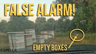 False Alarm at the East Apiary | August 12, 2025 (Farm Vlog Tuesday)
