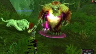 World Of Warcraft Quest Info: Pristine Yeti Hide
