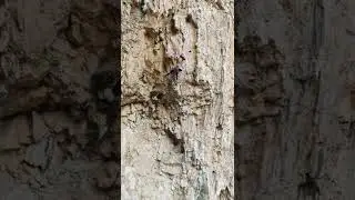 Poema de Roca, 7a