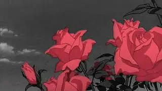 The Deli - Flowers (1 hour loop)