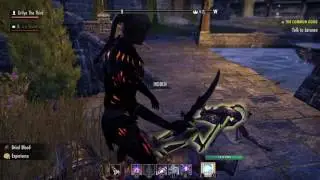 ESO Order of the Hour group farming (Kvatch, Gold Coast)