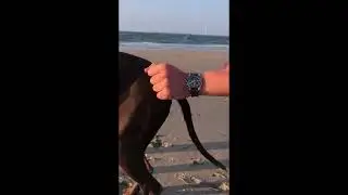 Truebuddies - How to use