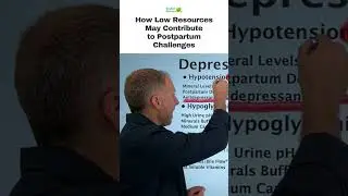 How Low Resources May Contribute to Postpartum Challenges