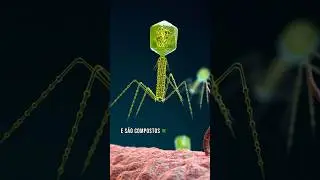 O que &eacute; bacteri&oacute;fago? #ciencia #virus #conceitos