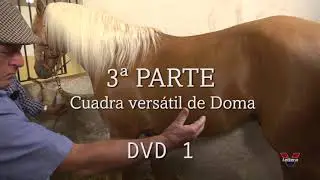 Tráiler Antonio Angulo