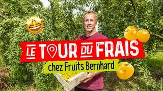 Grand Frais I Le Tour du Frais avec Danielle et Yves de l’exploitation Fruits Bernhard