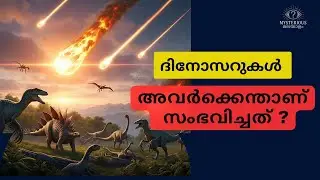 ദിനോസറുകൾ എങ്ങനെയാണ് ഇല്ലാതായത് ? | Mystery of Dinosaurs . #mysteriousmalayalam #malayalam #dinosaur