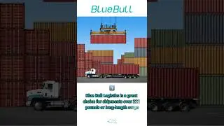 Blue Bull International Logistics: Your Premier Choice for Shipping Solutions 🚢🌍