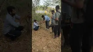 Camera trap work In farm and results leopards crossing over #cameratrap #leopard #trending #animals