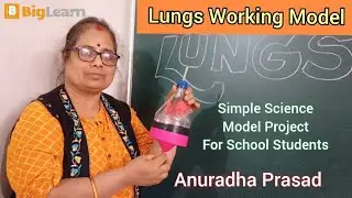 Human Lungs Working Model #anuradhaprasad #schoolproject #schoolstudents #youtubevideo 