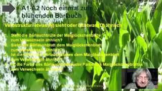 3.91 A1-A2 Verbstruktur &auml;hnlich sehen oder sein + D