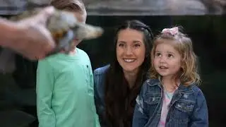 Preserve the Wonder Capital Campaign Video