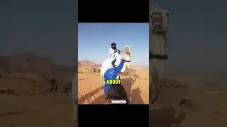 Ain&rsquo;t No Way Bro Wants to Challenge Every Animal 😳🐪&rdquo;