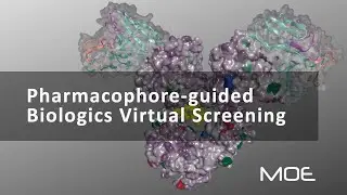 Pharmacophore-guided Biologics Virtual Screening