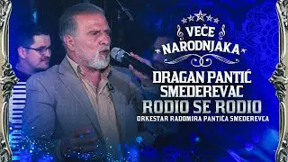 DRAGAN PANTIC SMEDEREVAC - RODIO SE RODIO ( ORK. RADOMIRA PANTICA SMEDEREVCA ) ★ VECE NARODNJAKA ★