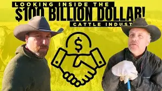 Inside a Montana Rancher’s PAYDAY!