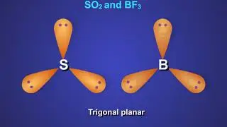 Polarity-Trigonal Planar