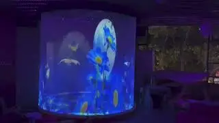 Holographic Mesh Screen Hologram Projection For Live Show