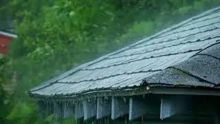 ⛈ Heavy rain on the roof, help you quickly fall into a deep sleep