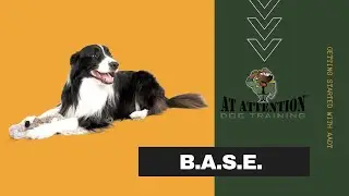 AADT B.A.S.E. Program - For Private Training