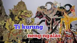Ti kurung pirang pirang tahun