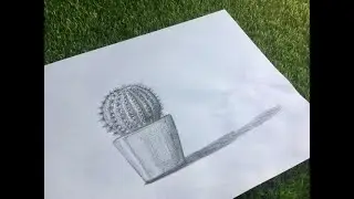  Aprende a dibujar un cactus a lápiz con estilo realista