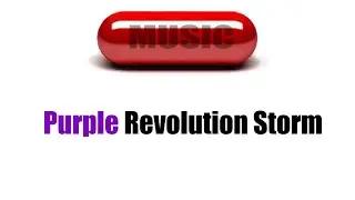 Purple Revolution Storm in America