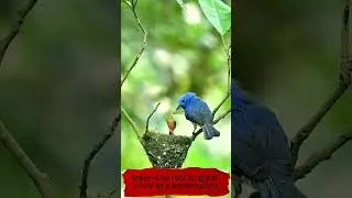 wisdom|lifereel