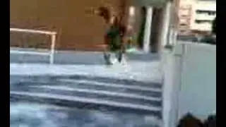 fla skate