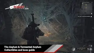 Remnant 2 - The Asylum & Tormented Asylum Collectibles (Morrow Parish)