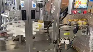 Automatische cashewnoten, hazelnoten, macadamia-plastic kunnen een dubbelkops schroefdopmachine zijn