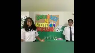Proyecto 